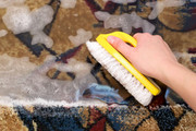 Top Oriental Rug Cleaning IL