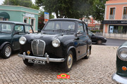 IMG-3295