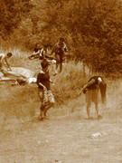 ADP sound system Lokorsko 2009 (112)