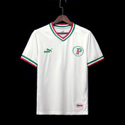 Palmeiras-Avanti-1.jpg