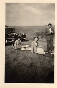 traction-gr-pere-immatriculation-897-DX44-et-aronde-de-parain.jpg