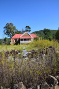 DSC-0310