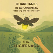 Luciérnaga