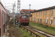 IMG-1526