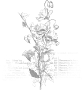 Lilas_Celebrate_stamp_6b