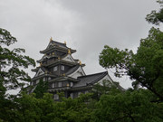 [Image: DSC02075.jpg]