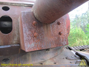IMG-6104
