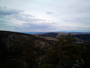 IMG_20210314_140318_9