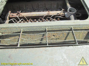IMG-5664