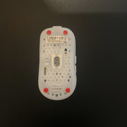 IMG-4873
