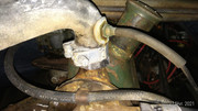P-20210227-185603-p.jpg