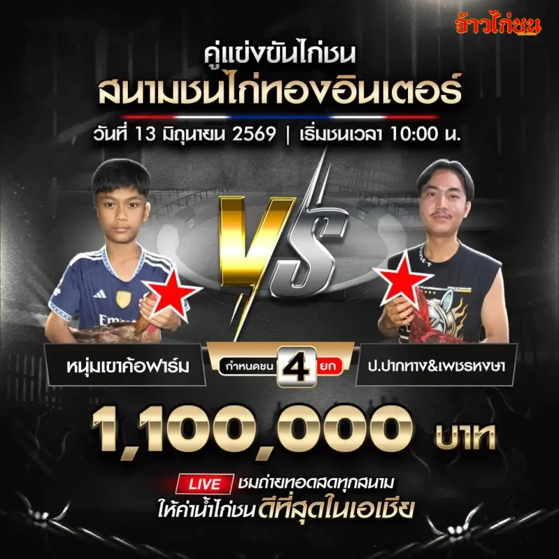 หนุ่มเขาค้อฟาร์ม vs ป.ปากทางและเพชรหงษา สนามชนไก่ทองอินเตอร์ 13 มิถุนายน 2569
