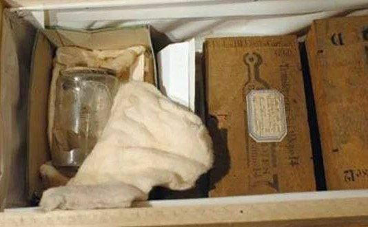 [Изображение: photo-2025-11-24-07-30-58.jpg]