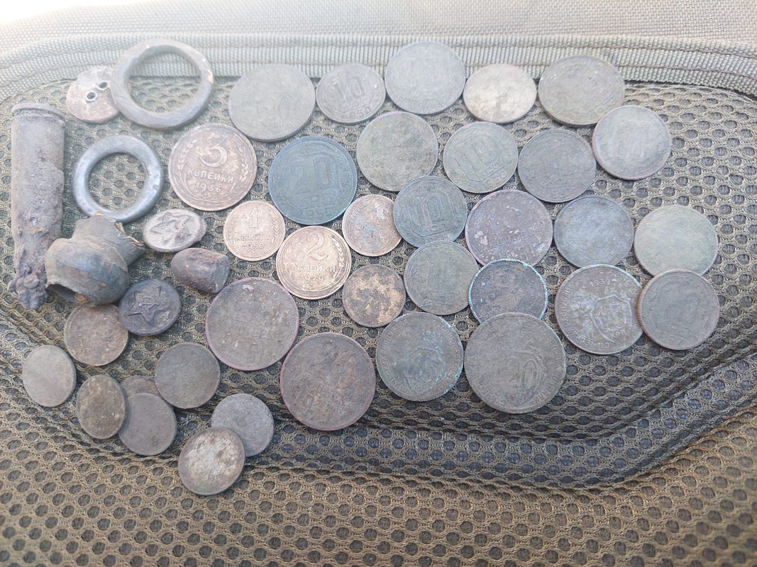 Изображение WhatsApp 2024-09-11 в 12.31.53_d0d46725