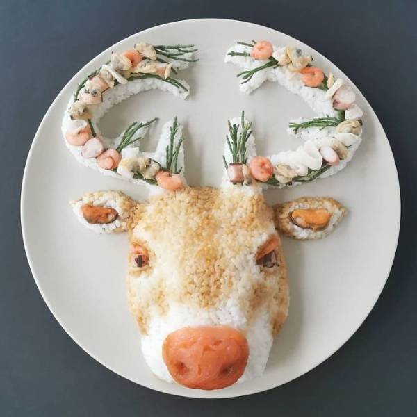 Meals-24