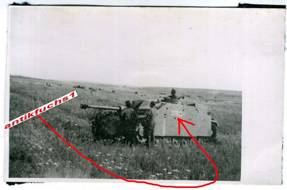 Panzer Sturmgeschütz Lang mit 205 und Schürze