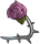 Rose-Right