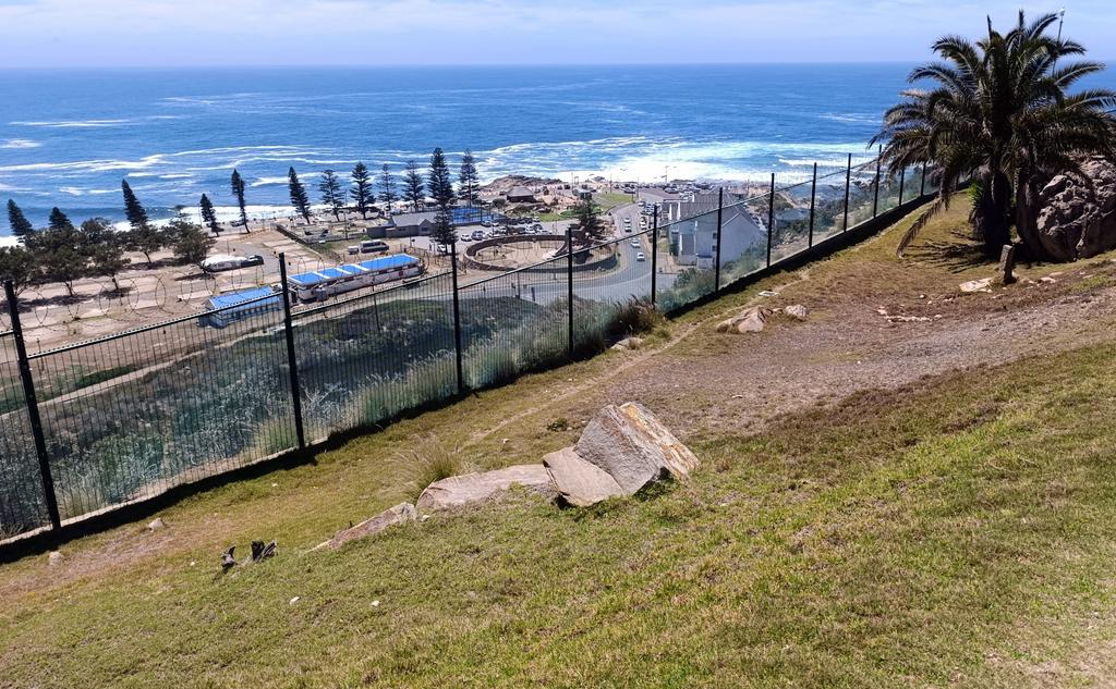 Такая близкая Африка. (ЮАР. 22 дня и 4200 км. Ноябрь-Декабрь)