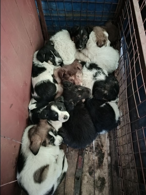 4mdSs5h28uNrH4ac64DOid5prtlNQh-LNQQ3kcAGBT02Z307d9bHiSOOAY5k_zizygQCknO3-BZle89Xb8WGQHUu