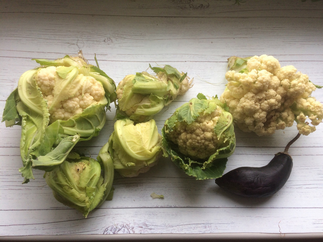 68547663-0434-4CD2-A5E2-981766F4618A