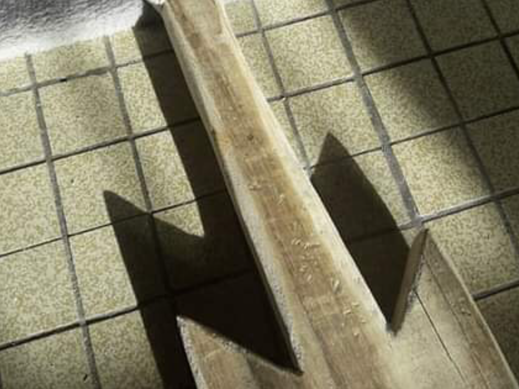 70D9C531-A23B-4F14-821A-86B7625CF82D