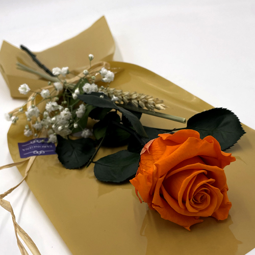 Rosa Naranja Preservada