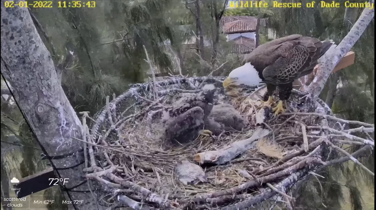 8BC6CF7E-65D7-4D9F-BC43-EB10343565F7