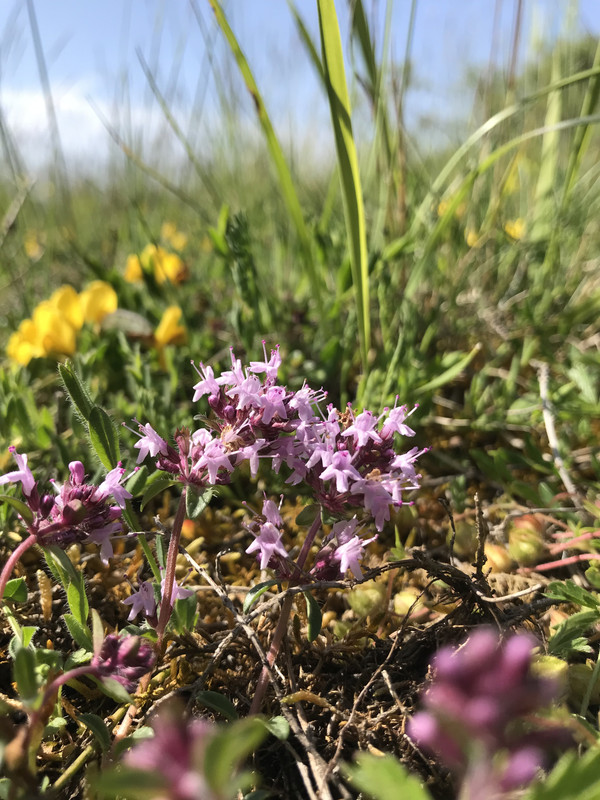 932DFB68-F434-48F5-9A42-FE163B9508BA