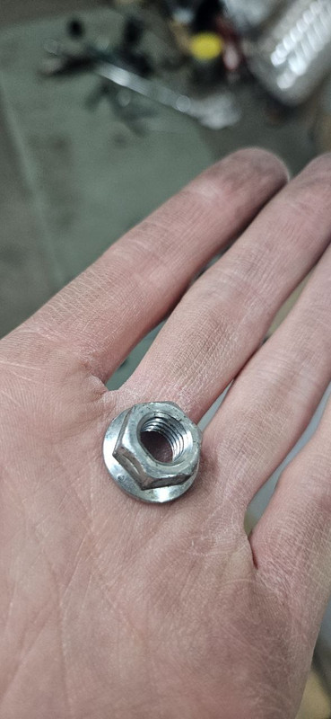 photo_2024-03-29_14-39-44 (3)