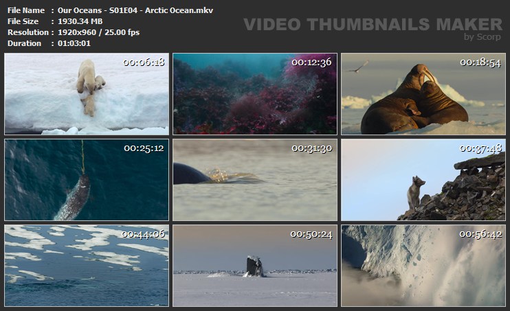 Our Oceans - S01E04 - Arctic Ocean.mkv