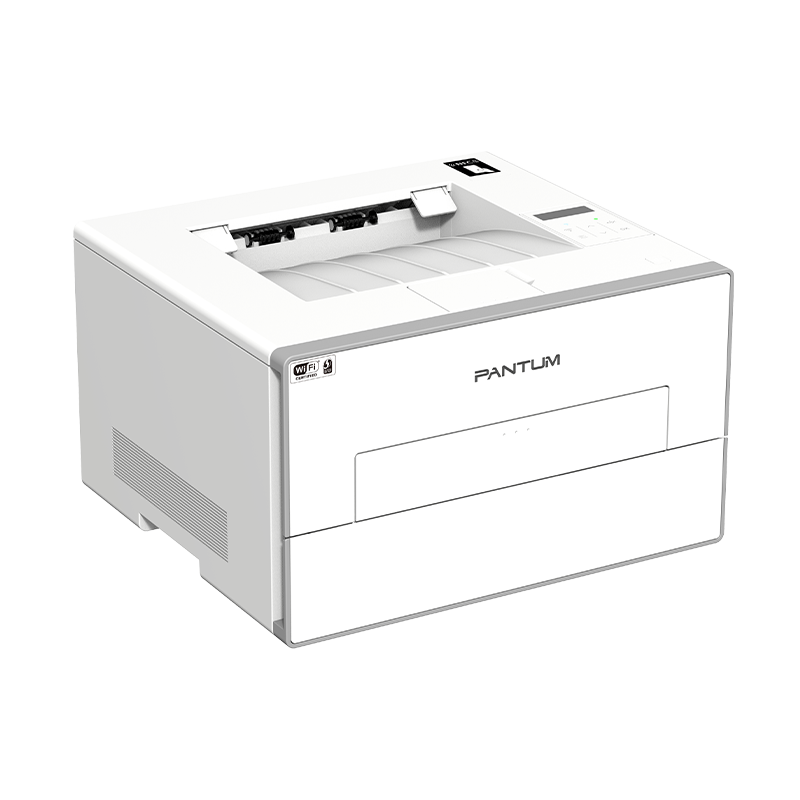 Pantum BP4206DW Wireless Print View