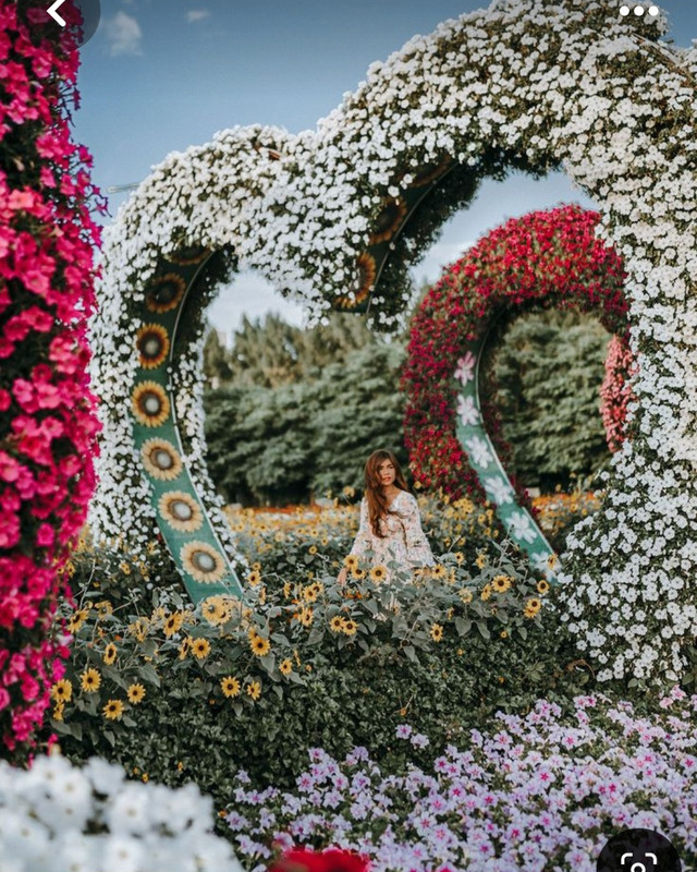 Screenshot_20240609_152558_Pinterest