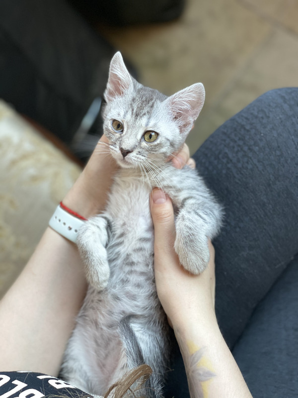 E64A7BD1-14B3-4608-928C-E7A32B9A894C