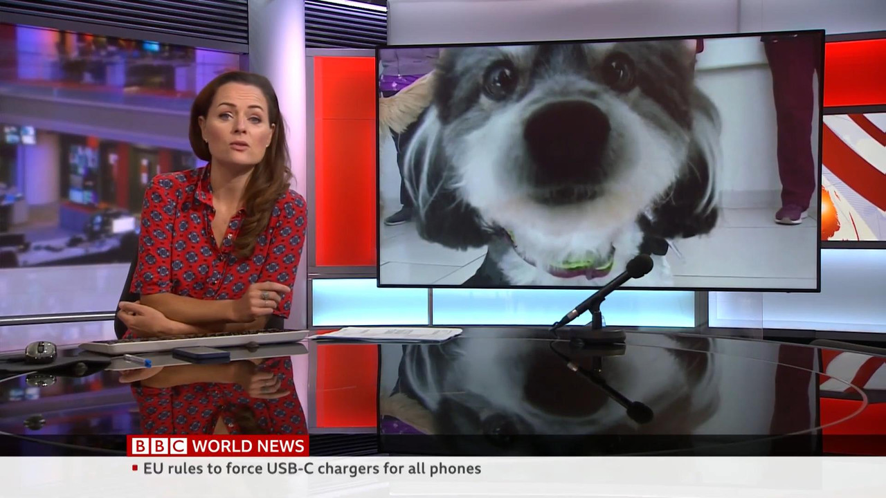 09.24 - 06.00.00 - Bbc World News. News. Reporting On The Day's Inter...-1.m4v_snapshot_25.23_[2021.
