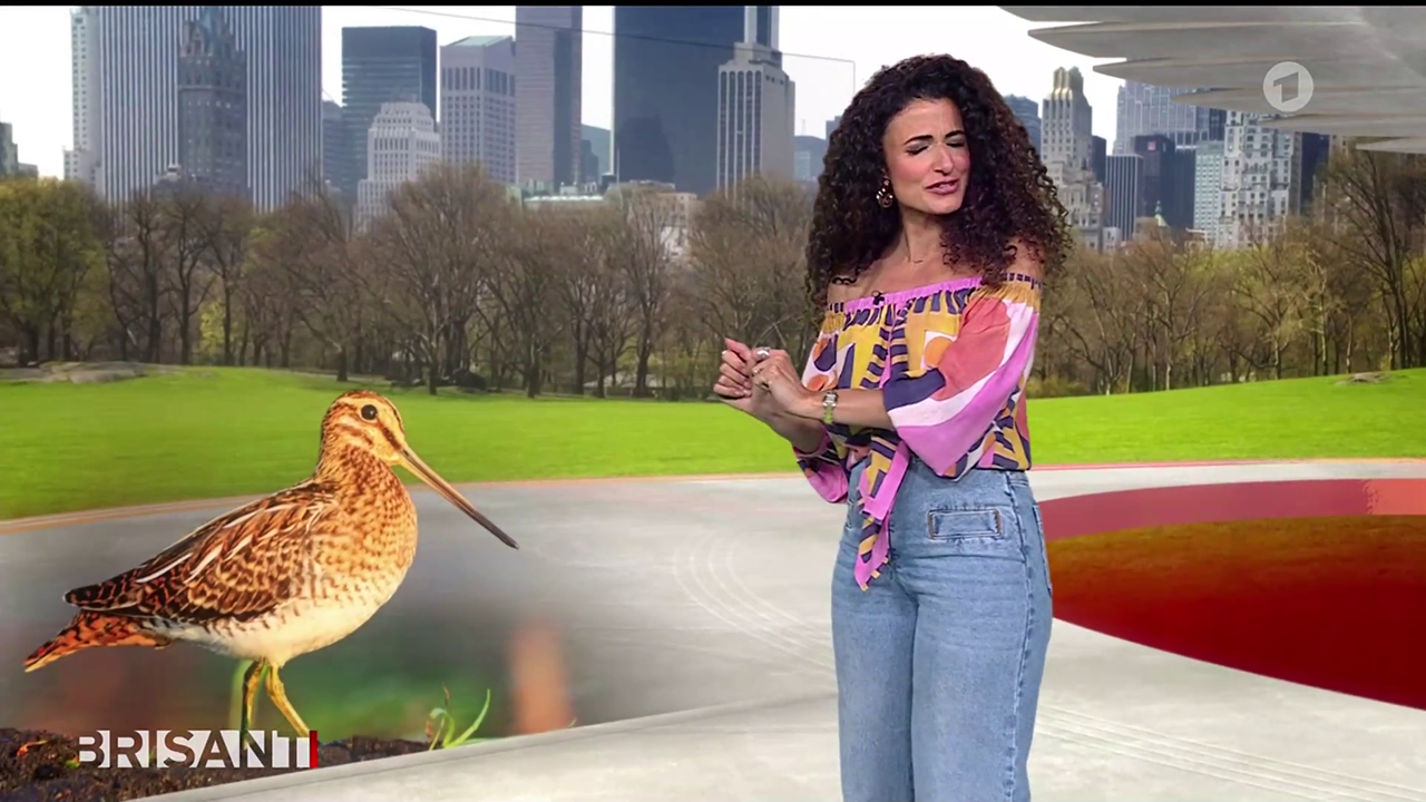 Marwa Eldessouky ARD BRISANT 17 04 2026 82X Caps 35