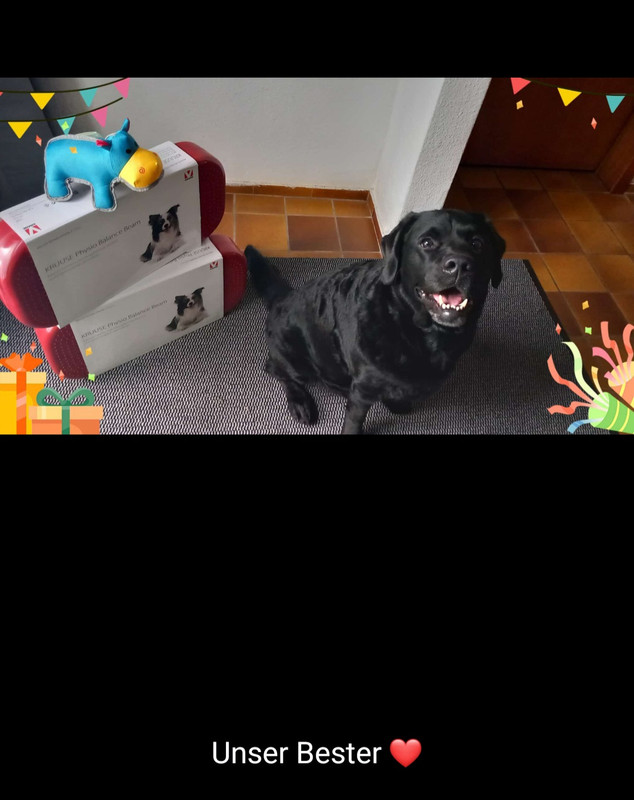 Screenshot 20260213 191738 Whats App