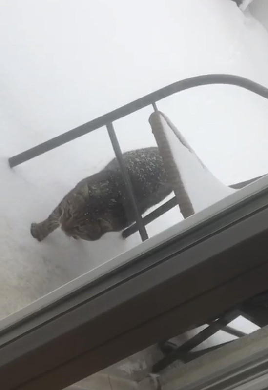 25D5DCCA-B746-4672-87A7-53205CDC1764