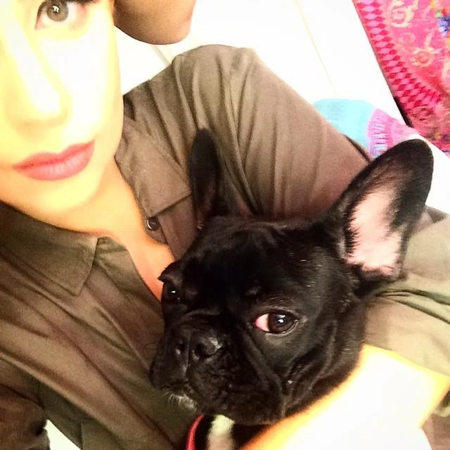 10-9-14-Instagram-004.webp