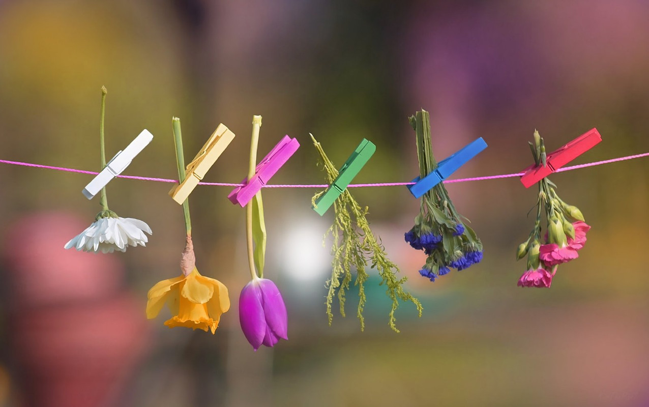 multipegs-flowers.jpg