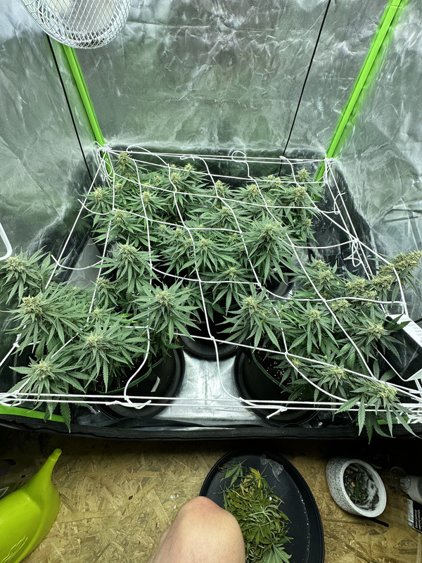 64B1F8DE-A1ED-4474-B0C6-89C3C99CAEB0