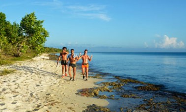 Llegadas de Turistas