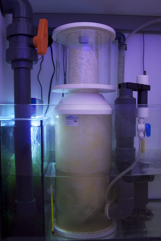 Sump (Skimmer e FiltroAlghe)