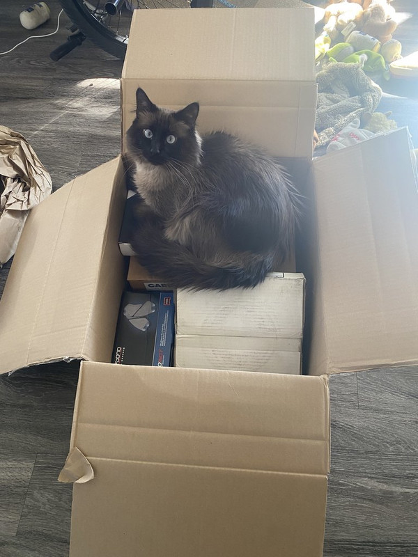 7F01EC2D-F927-437B-AFD7-9F5A388EFCDA