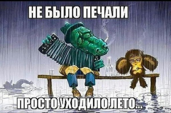 17216503.jpg