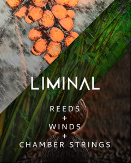 Crocus Soundware LIMINAL Bundle KONTAKT