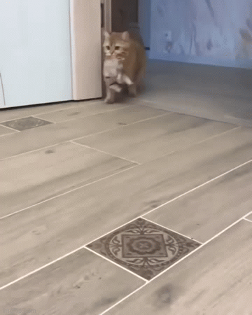 ���� ���� ������ �� ���� ������