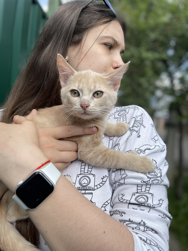 EC8F2841-A4A0-45BC-9FD4-B665E3AAC7EB