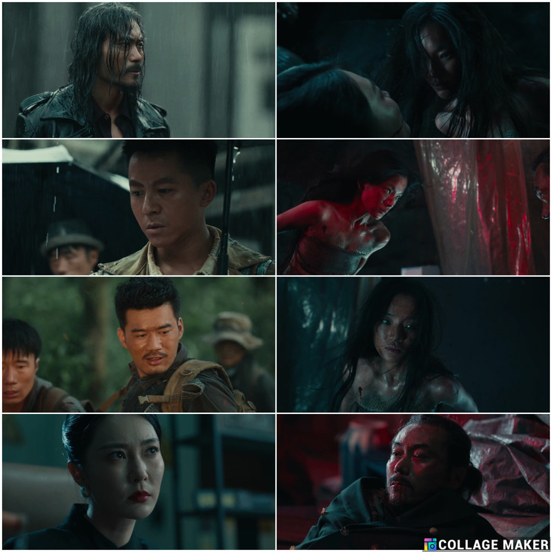 moviedokan
