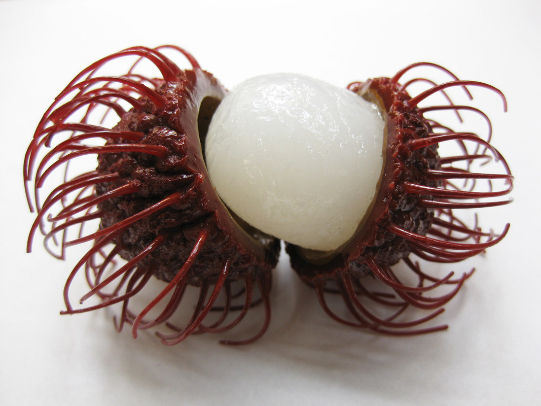 rambutan-nephelium-lappaceum