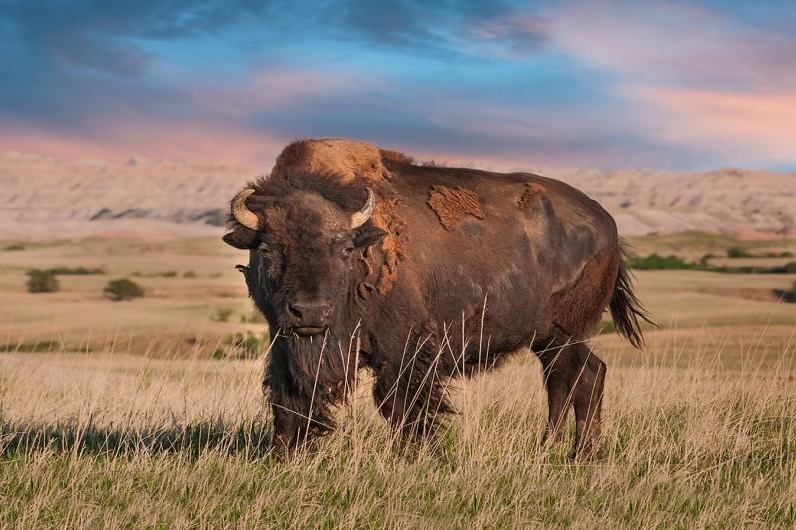 332-F59-C7-8-CD5-40-D1-8-E46-B4-ED3-CA4-